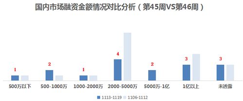 誰(shuí)說(shuō)性感只能有維密一種 neiwai內(nèi)外獲7000萬(wàn)B輪融資，推動(dòng)融資性擔(dān)保視角下的內(nèi)衣行業(yè)變革