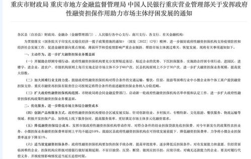 發(fā)揮政府性融資擔(dān)保作用 助力重慶市場主體紓困發(fā)展